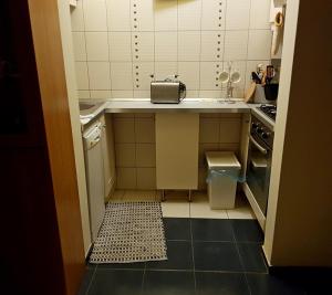 Apartment Lisinski S 