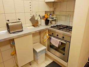 Apartment Lisinski S 