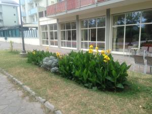 Hotel Antares