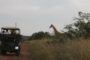 Roaring Sky Base Camp