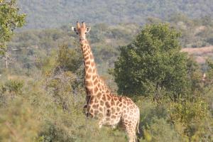 Roaring Sky Base Camp