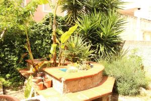 Le Aromatiche img13