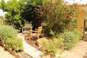 Le Aromatiche img11
