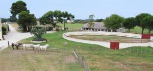 MANADE SAINT LOUIS Mas de La Paix