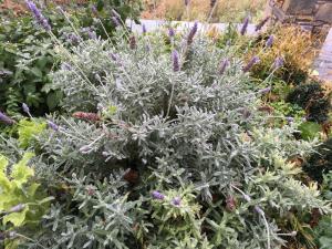 Aethri Pelion Suites