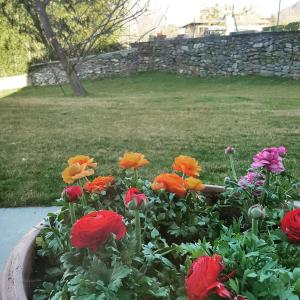 Foresteria Villa Margherita