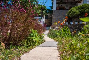 Mathios Studios Patmos Greece