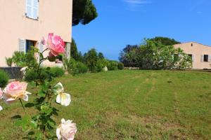 Appartements French Riviera - Vaugrenier : photos des chambres