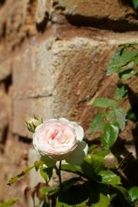 Hotels Mas de la Chapelle : photos des chambres