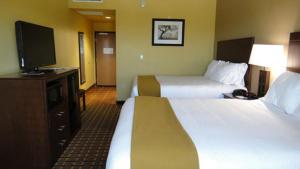 One-Bedroom Queen Suite with Sofa Bed room in Holiday Inn Express & Suites George West an IHG Hotel