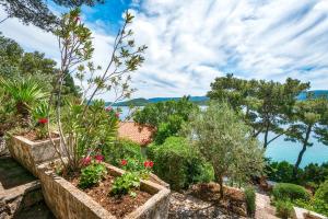 Holiday Home Gluscevic