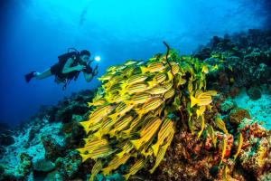 Mudhdhoo Island, Baa Atoll, Maldives.