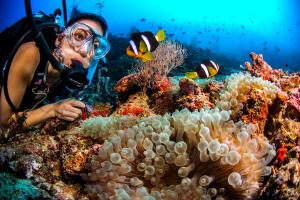 Mudhdhoo Island, Baa Atoll, Maldives.