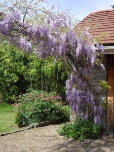 B&B / Chambres d'hotes Les Arts Verts : photos des chambres