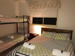 Blackwattle at Barrington Tops