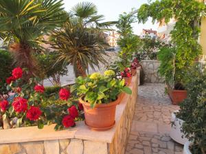 Studio Apartments Romina