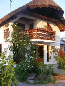 Casa Nicu Murighiol - Sarinasuf