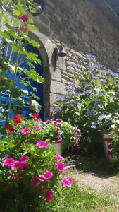 B&B / Chambres d'hotes Les longeres de keridy : photos des chambres