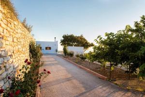 Amazing Sea View Villa Paros Greece