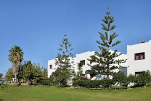 San Antonio Apartments