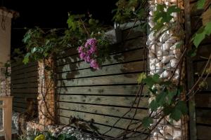 Electra Apartments & Studios