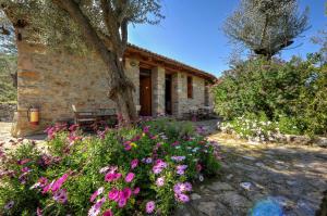 Gera's Olive Grove - Elaionas tis Geras Lesvos Greece