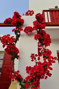 Seagull Rooms Syros Greece