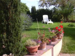 B&B / Chambres d'hotes Vignoble : photos des chambres