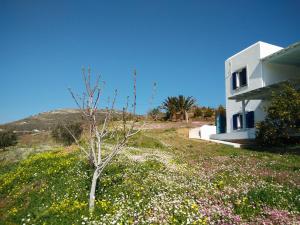 Villa Valentino Andros Greece