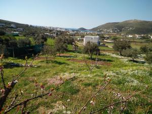 Villa Valentino Andros Greece