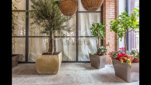New luxury apartment in Puerta del Sol
