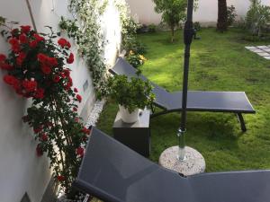 The Secret Garden in the historic center