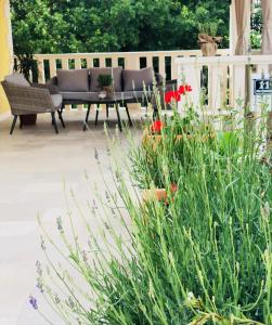 Apartments Villa Lucy