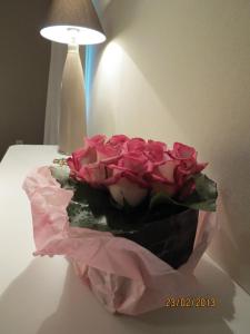 Hotels Hotel Ligure : photos des chambres