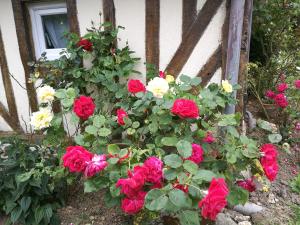 La Longère dAuberville