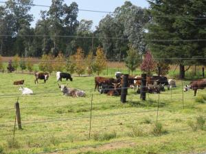 Dunroamin Bed and Breakfast