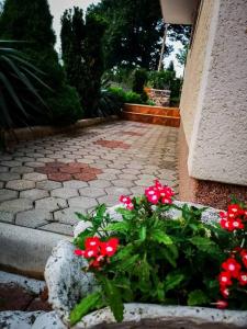 Gacka-Beautiful Place in Nature