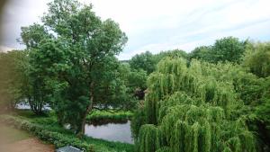 Maisons d'hotes Moulin d'Amour : photos des chambres