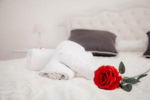 Casa Marzia Affittacamere img14