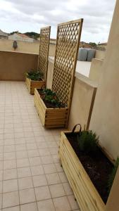 Giuly home one img59