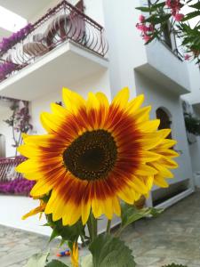 Villa Mikra Asia