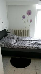 1 Zimmer Apartment KLEIN aber FEIN