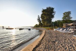 Haus Platanos Apartments & Bungalows by the Sea Halkidiki Greece