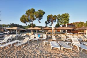 Haus Platanos Apartments & Bungalows by the Sea Halkidiki Greece