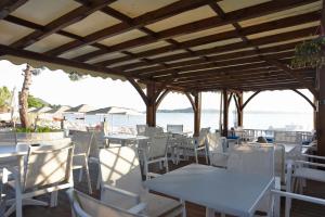 Haus Platanos Apartments & Bungalows by the Sea Halkidiki Greece