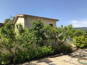 Auberges Chambre: une fenetre sur le Ventoux : photos des chambres