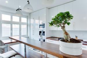 Royal Apartment near river - Nek4th