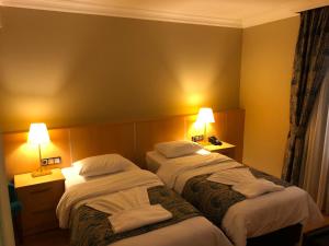 Standard Double or Twin Room room in Artika Hotel