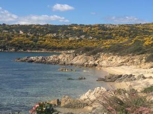 casavacanza golfo aranci img15