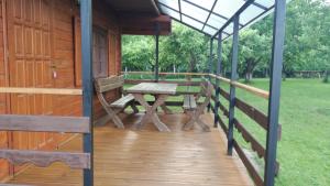 Gospodarstwo Agroturystyczne z BASENEM & SPA i Alpakami